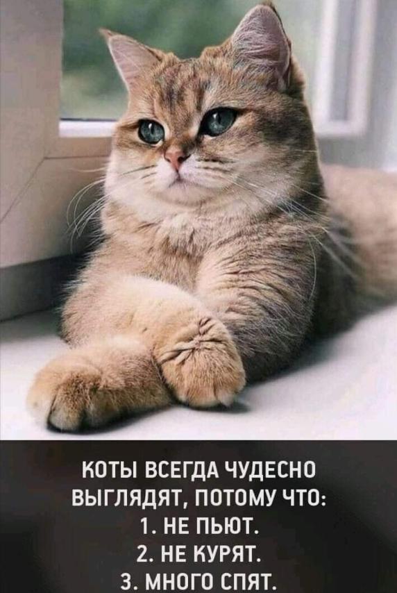 IMG-696bf57e5b536fe8d8c8b2f0c15e23a3-V.jpg
