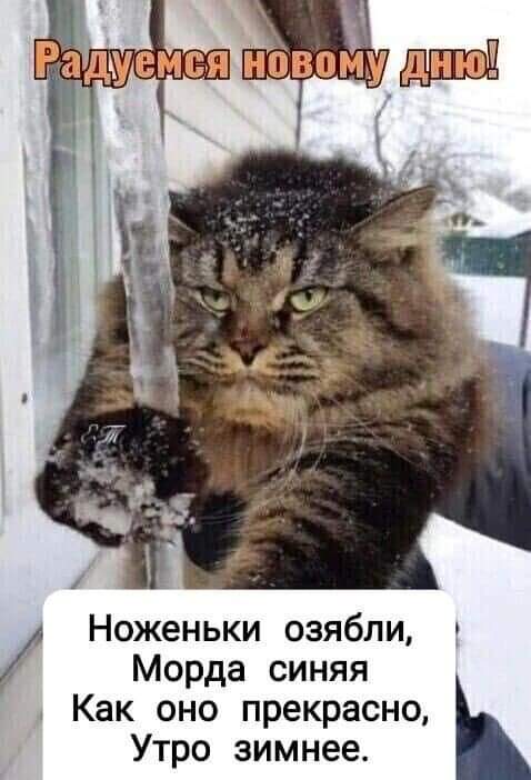 IMG-6c0b8e5290219f3ab8fdbfef79f2fb2a-V.jpg