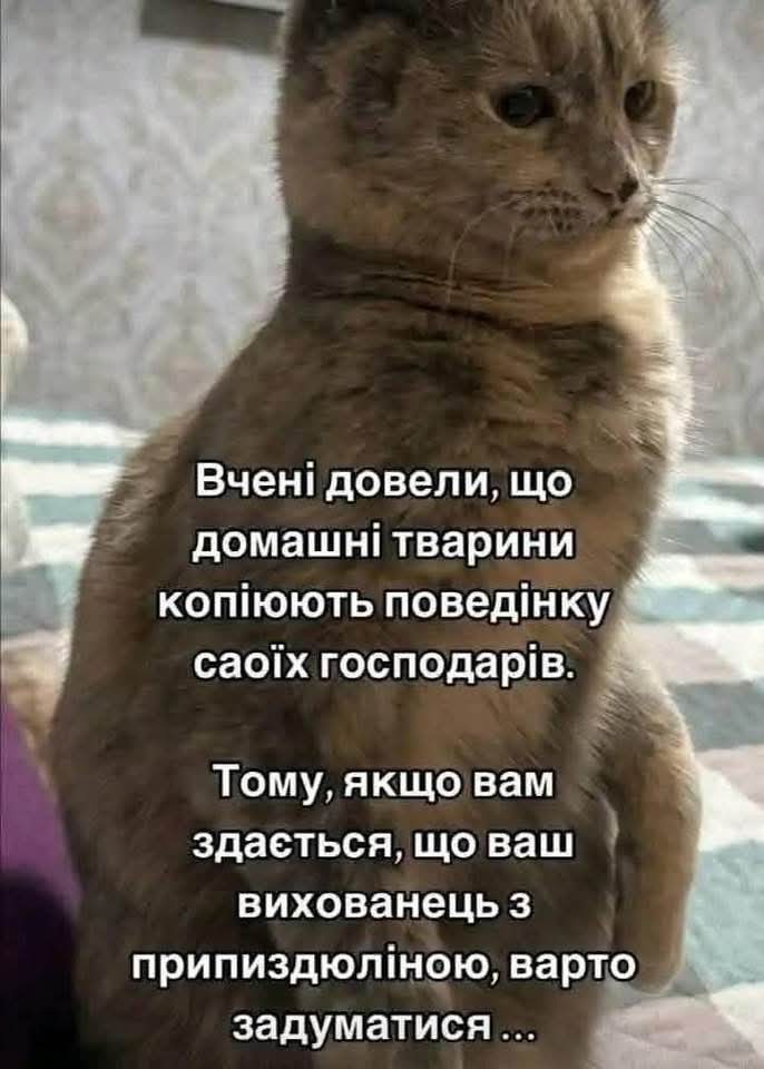 IMG-6c27a88a7f706813b3148fa2a8202aad-V.jpg
