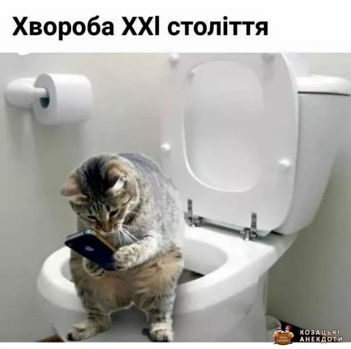 IMG-6cfb0c6fce07d5af153da77d06444ebd-V.jpg