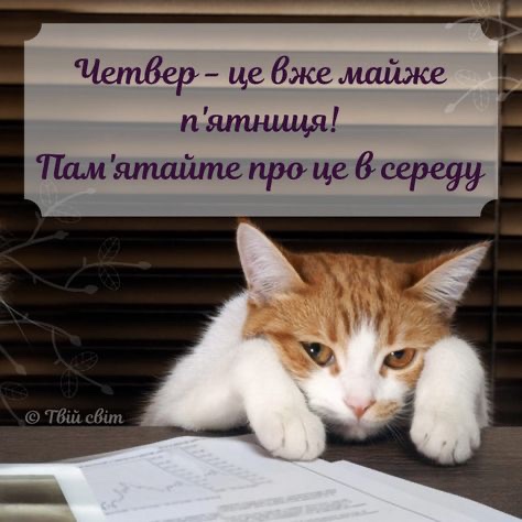 IMG-6ea32abaa11d37be9cba85253629dcf6-V.jpg