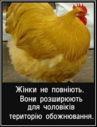 IMG-7110bf99082e21755d61816f10255ff9-V.jpg