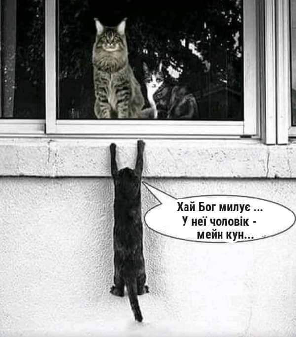 IMG-72b35cb031e48de1b4efbe3eef21acd8-V.jpg