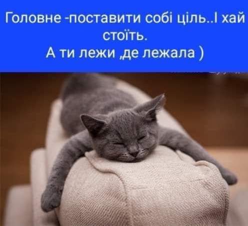 IMG-73d766da355d4ef67d87a08141f8f6dc-V.jpg