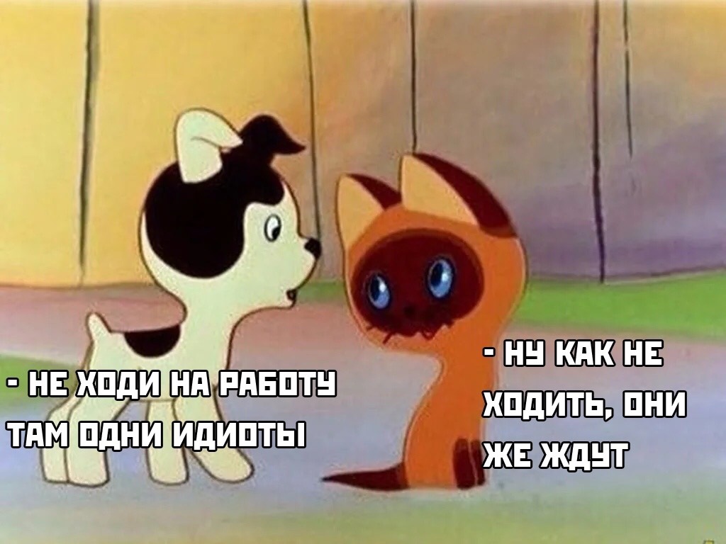 IMG-7a988d88d57cdc3a6f958ed2cd9966d5-V.jpg
