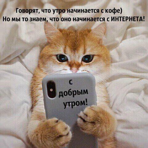 IMG-7c139853775fa9d1b0ce5ae82ea74c68-V.jpg