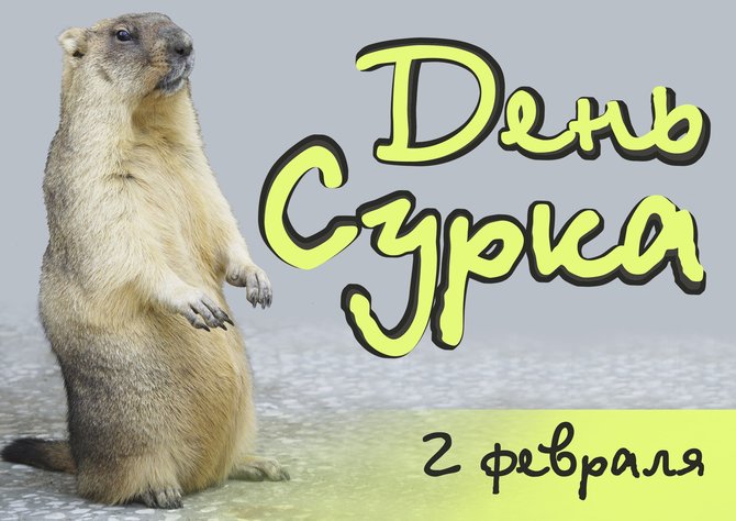 IMG-7ce2e01e0ecc490e513bb616c57d6ad7-V.jpg