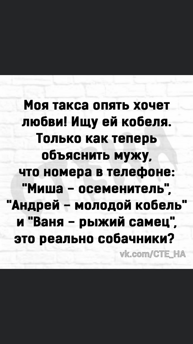 IMG-7d0b6fb397693a7cb19861f4101c9ae4-V.jpg