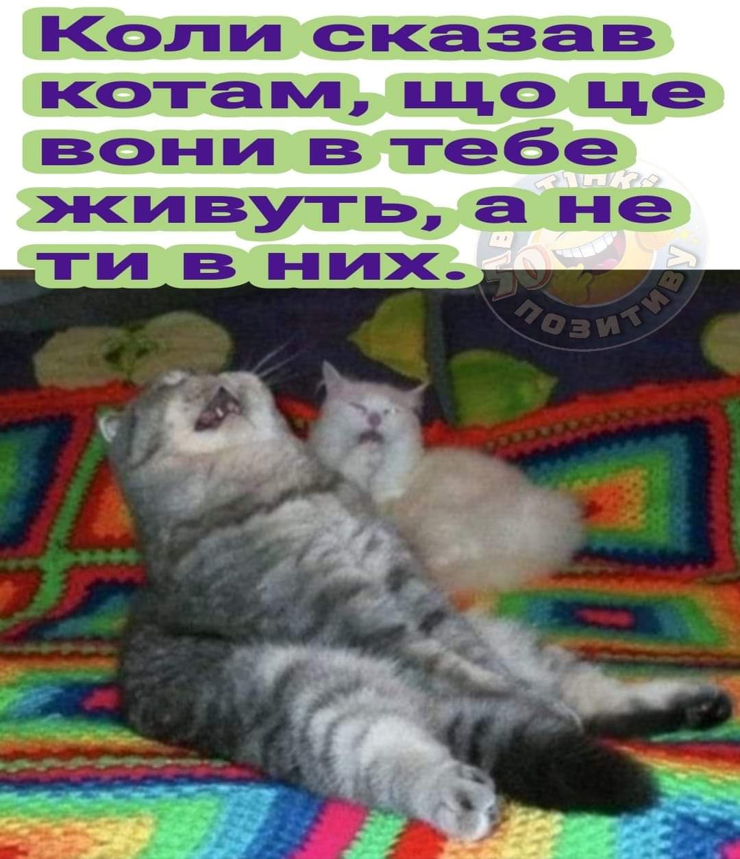 IMG-81972f9036e73623d7bf215e969cca86-V.jpg