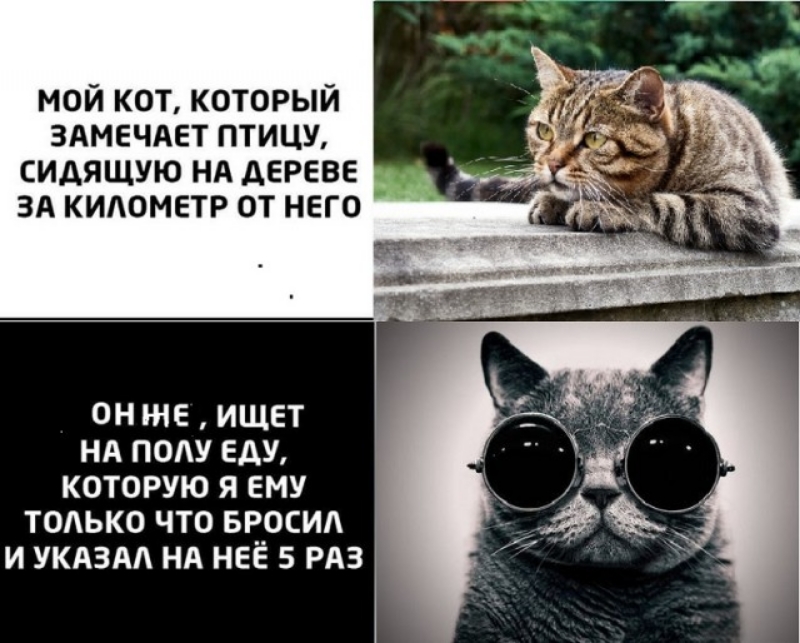 IMG-83f52b4ca28fc52710aeaad9c8450c1f-V.jpg