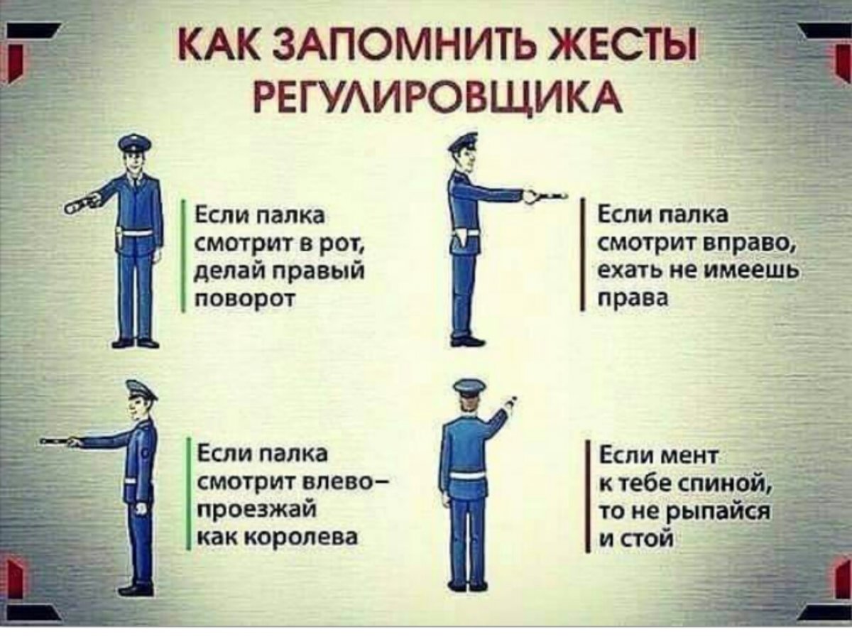 IMG-851f15c9541da88e4808d57a65a0fbcd-V.jpg