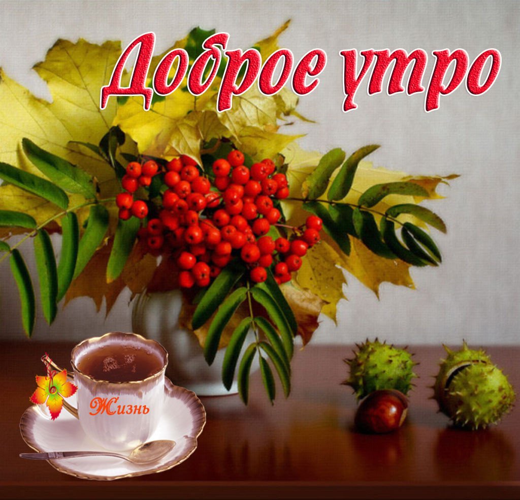 IMG-85ee80dc09f11b7c6fe76dcf3ba6a816-V.jpg