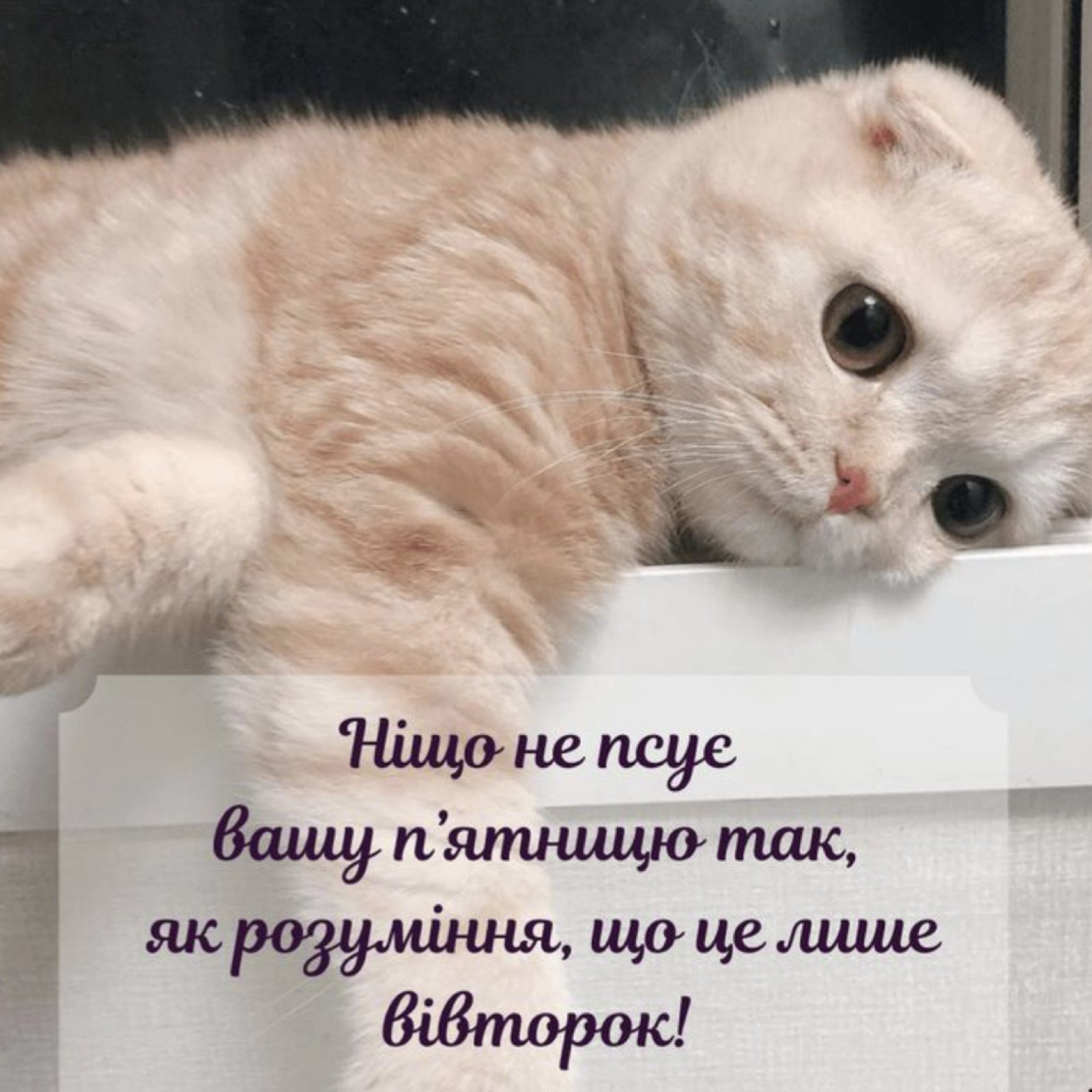 IMG-86ccb0a40b11675e906b05bc27ffb31a-V.jpg