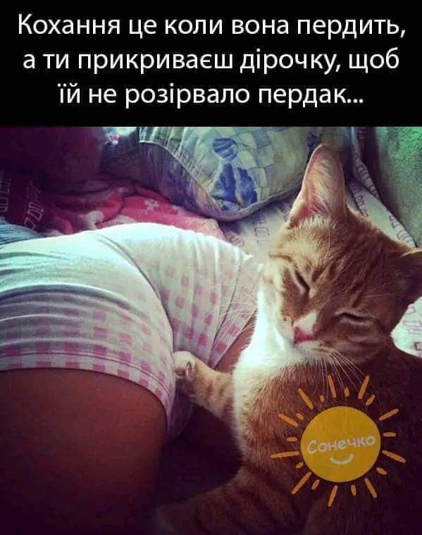 IMG-88196f07ad300f87ed9764bb9e5e9a99-V.jpg
