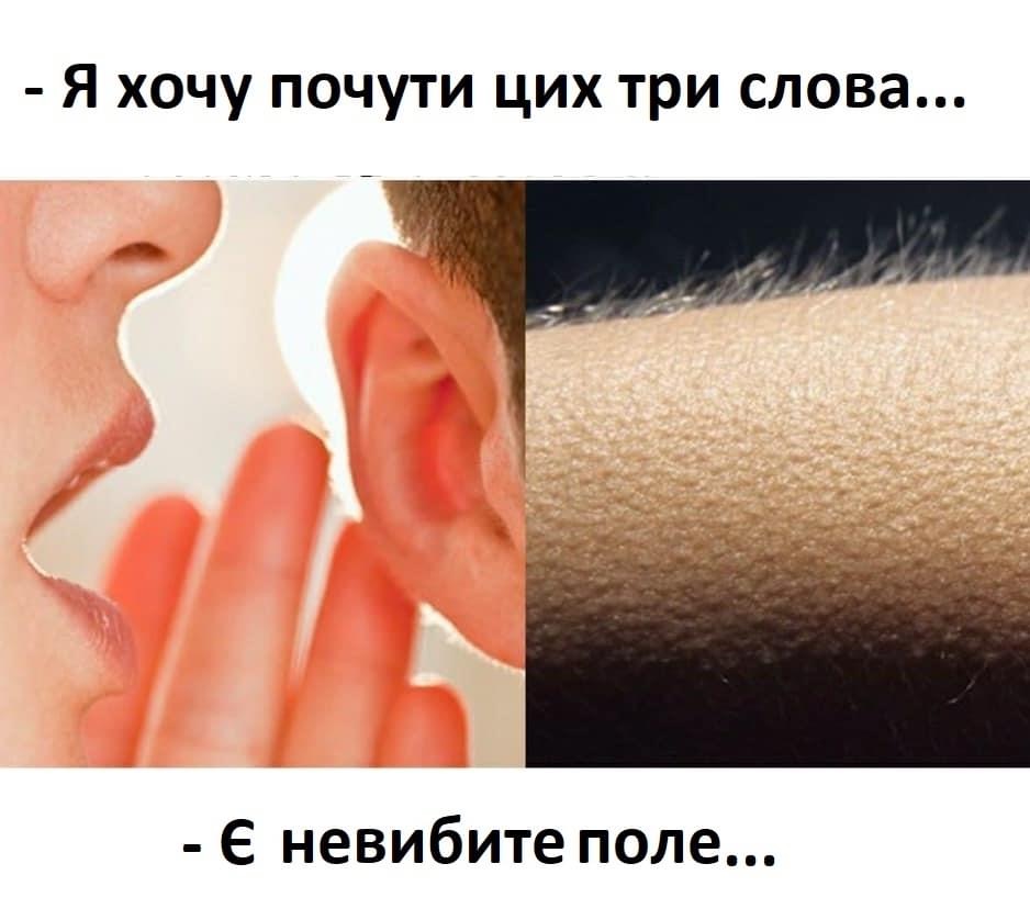IMG-8961e77bfc8d04d978098d8583e60c95-V.jpg