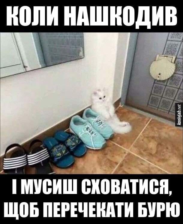 IMG-8a184964719511afddc42e828e154047-V.jpg