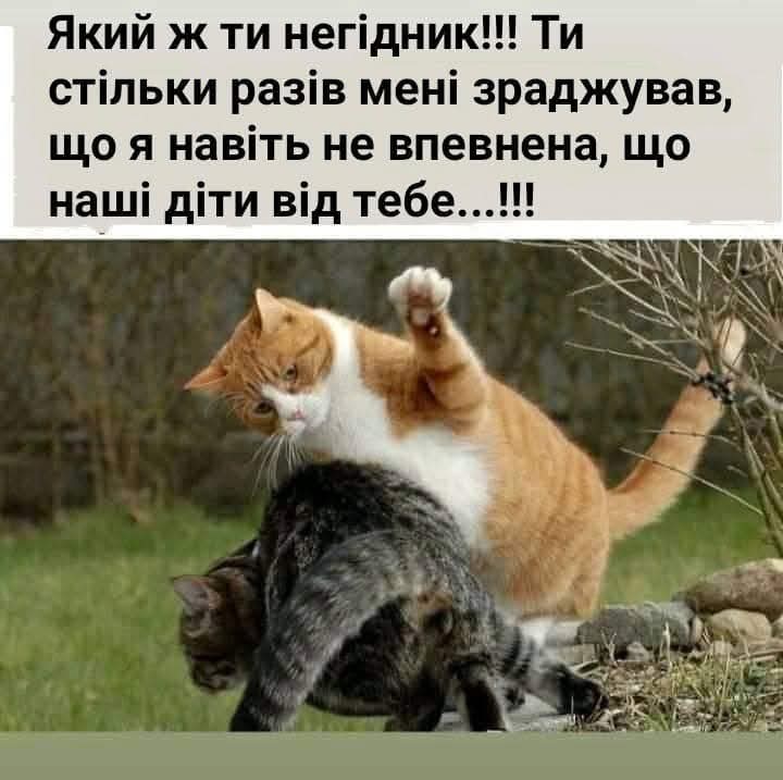 IMG-8b320bd6da22e69a4fef0ac0bf2c5bad-V.jpg