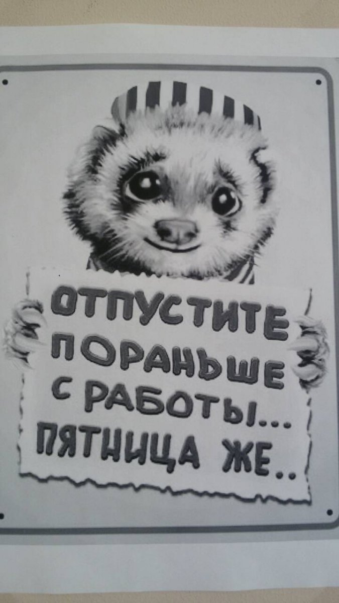 IMG-8cbe6f439fa8b4a21a2ee36f767e0e2d-V.jpg