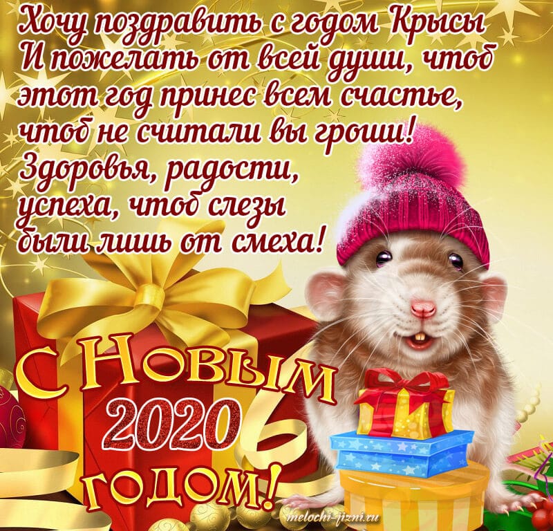 IMG-8d0abd82c095d78dd900a8afe60d39bc-V.jpg