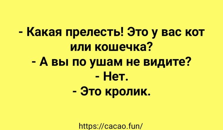 IMG-8d9d0255f14fb0c00e77016158c0ffaa-V.jpg