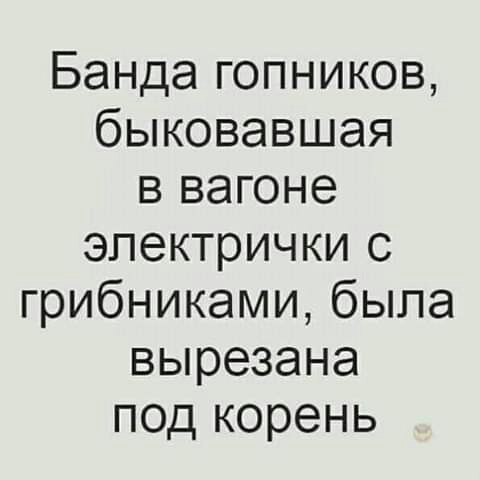 IMG-8edfef87c9c64351d1cc42a4866730e4-V.jpg