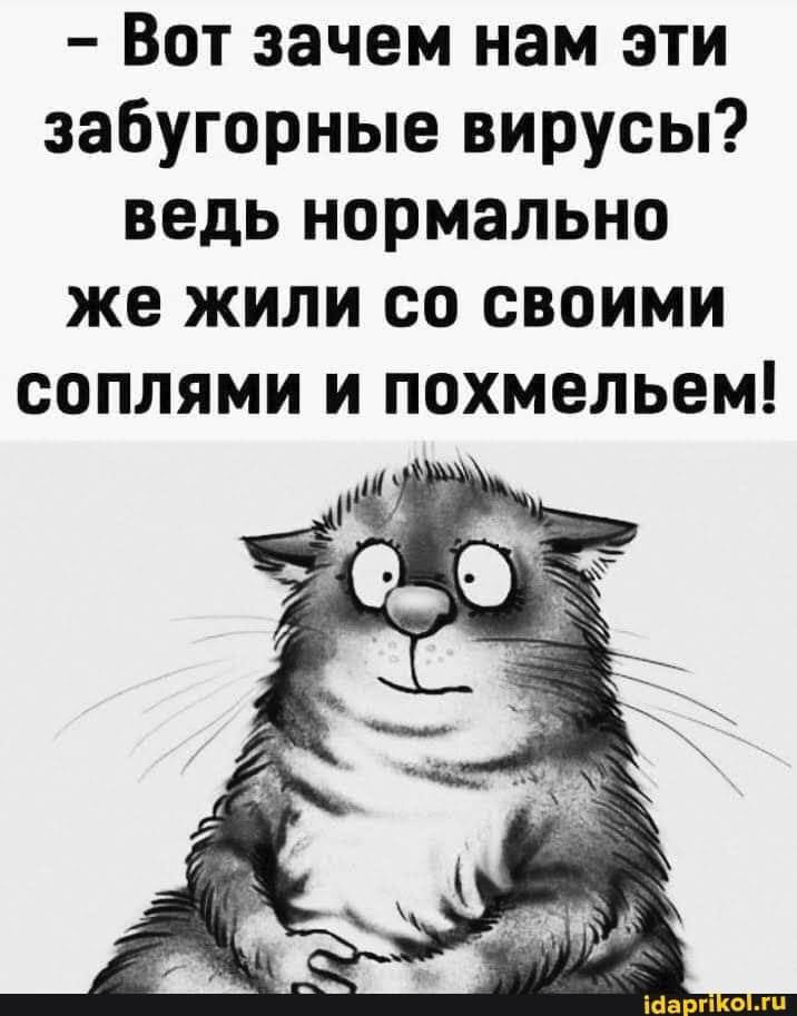IMG-8fda091396b046046e96c46a3cdf865b-V.jpg