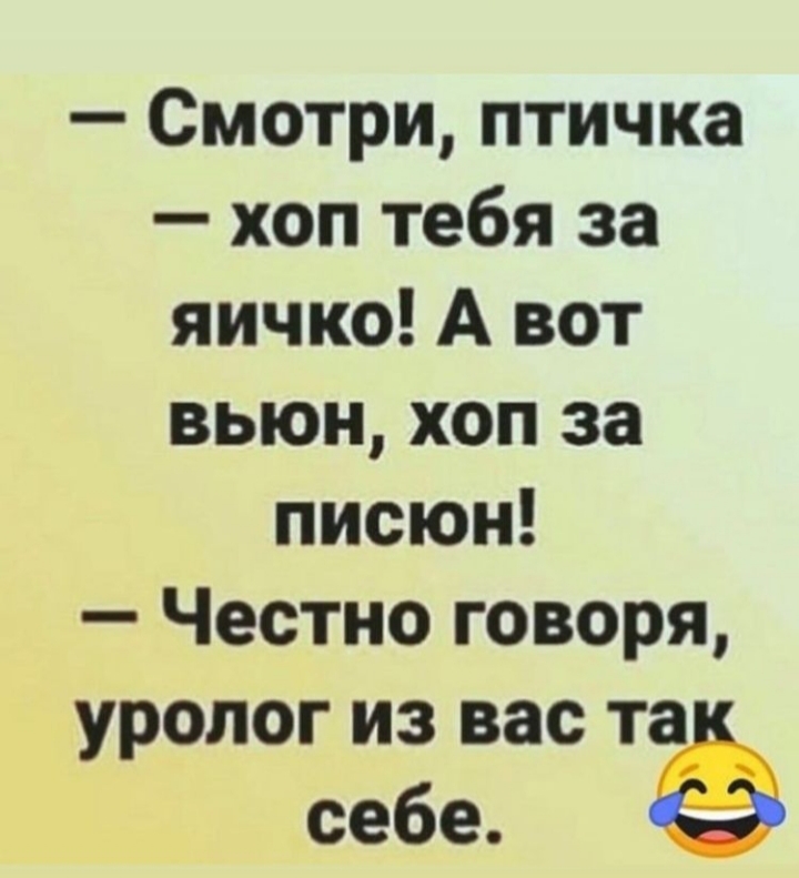 IMG-93b6438054ca55d20614153951a8cdf0-V.jpg