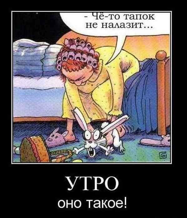IMG-95a6bf5e1f1ea5af4ba8e10e47afae09-V.jpg