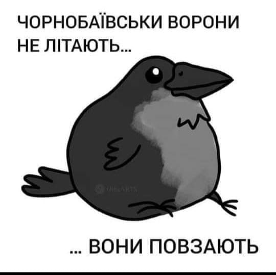 IMG-97409c7361345eefdf33f467e937bc0e-V.jpg