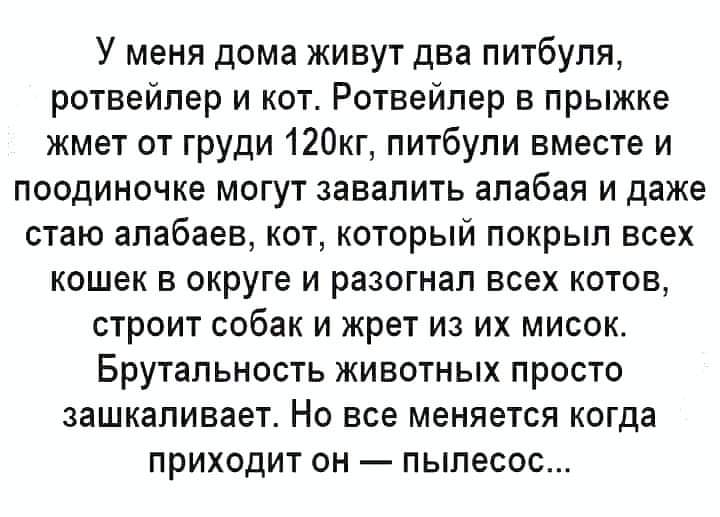IMG-98f6ba2b9dabe0a493a1ea96752c1b13-V.jpg