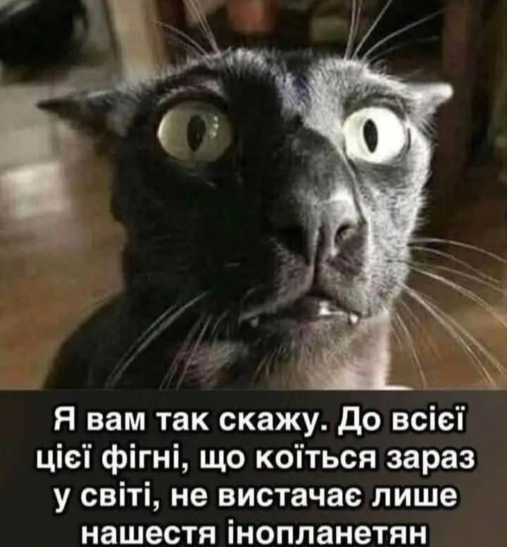 IMG-a2145ddd6d2334f5c92dd4a9770a5ece-V.jpg
