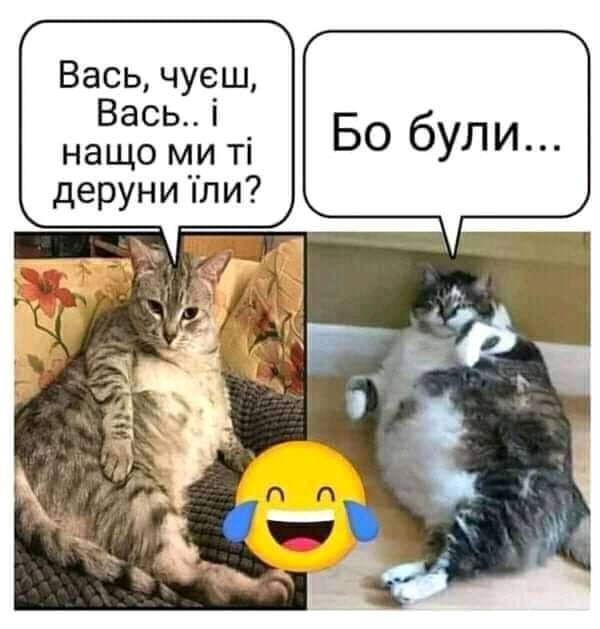 IMG-a2e1ee9f2cd61ee29c5ddce13f06fc4b-V.jpg