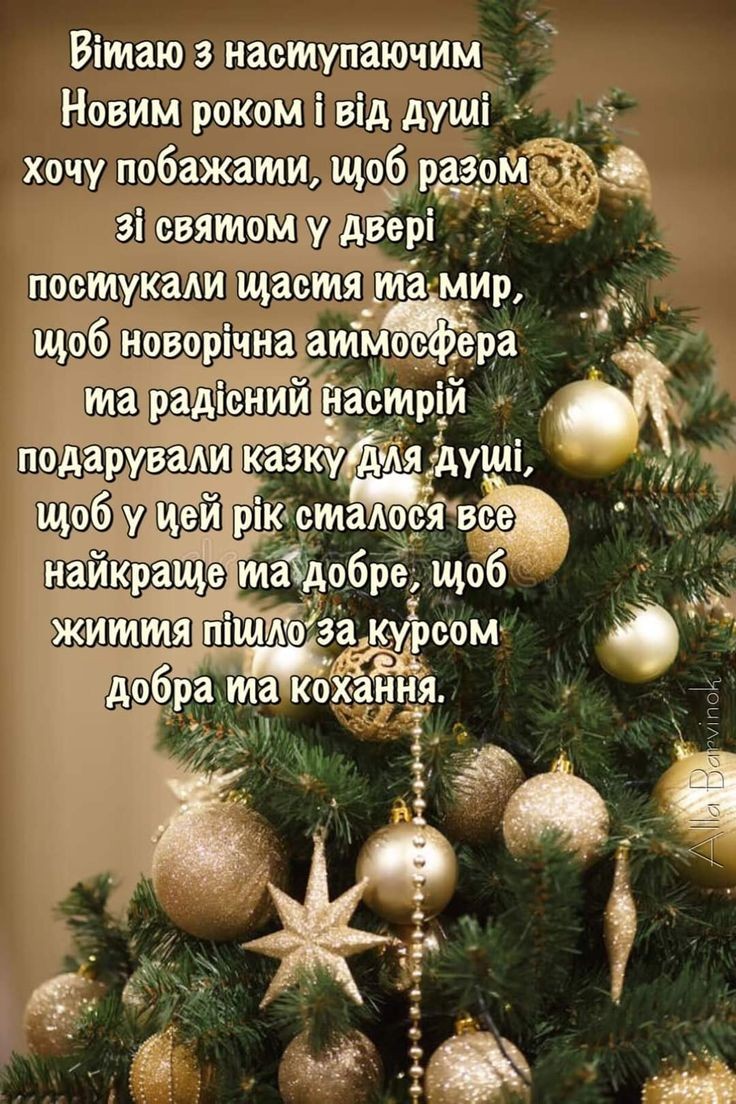 IMG-a62e6aeb7df9d299f69b7c80405e205e-V.jpg