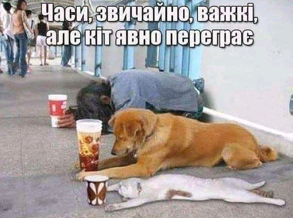 IMG-a8704105d7b5e6f68cf61938cd14fc91-V.jpg