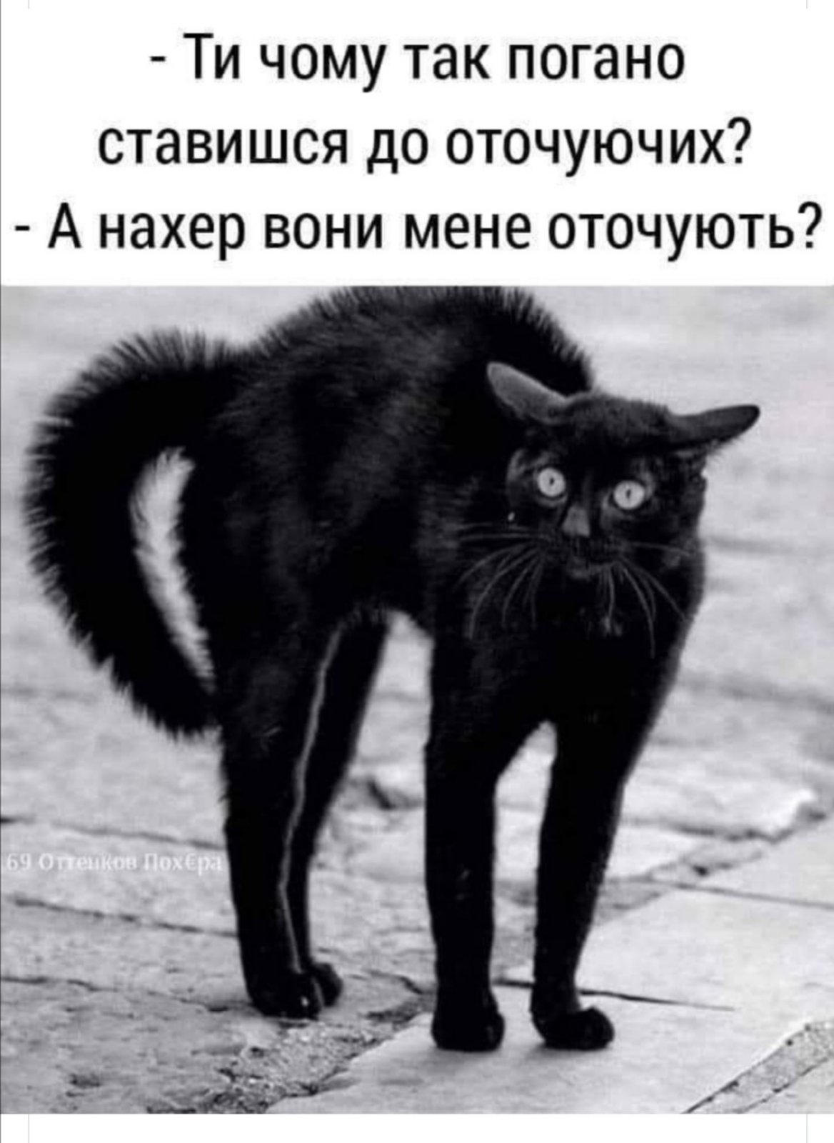 Злой черный