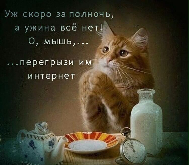 IMG-acdb2d7765f4714ecd981eeacaa08abd-V.jpg