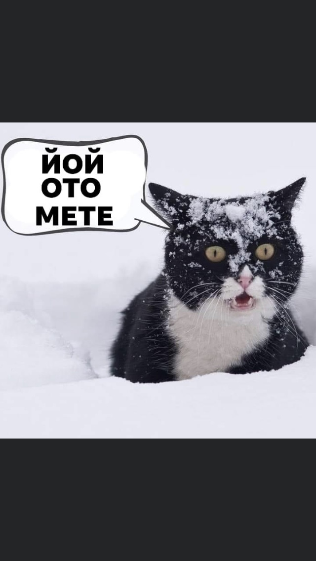IMG-ad1deda508dac2d093d79c2a8a942c01-V.jpg