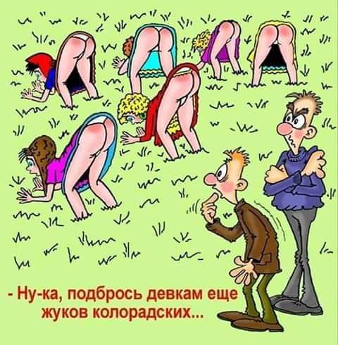 IMG-ad5ad627604d669d3444a2dd8b8cc1c0-V.jpg