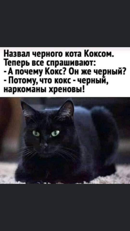 IMG-b099c63d890dbc935f121c7f5ffabd70-V.jpg