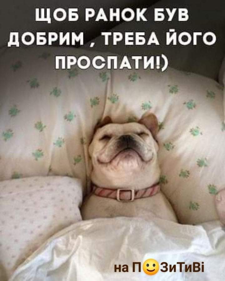 IMG-b0e3e964f54ffb1ae282a076f51b76fd-V.jpg