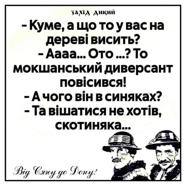 IMG-b2d0295f819a4d5f6ff858c69e4c3c5b-V.jpg