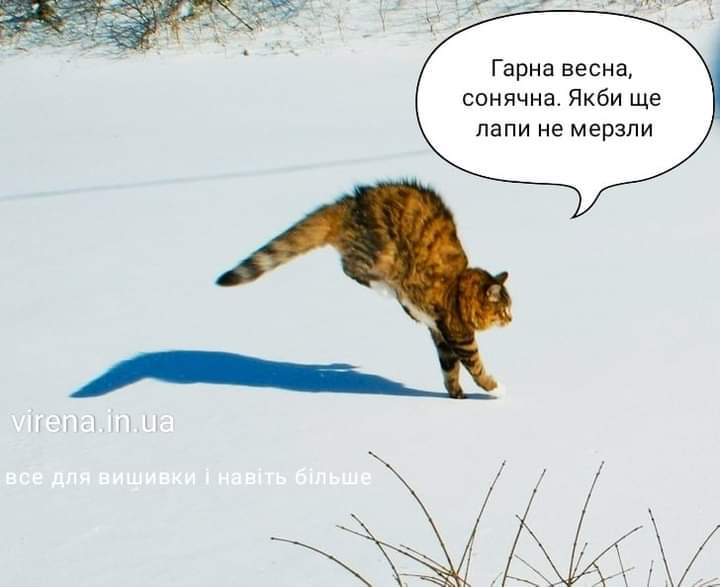 IMG-b36c813ab8d293e824b95d34f6538301-V.jpg