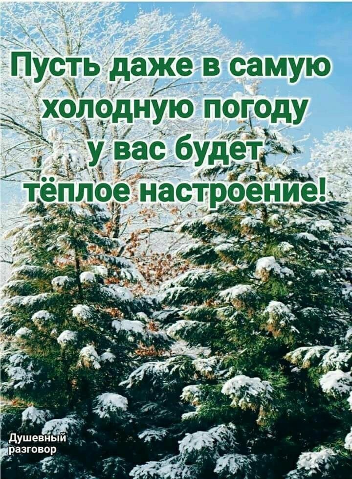 IMG-b5905a8762e32b2ac2aa304a77e75d6c-V.jpg