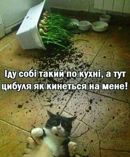 IMG-b5ab68c7ccb7d0a647db800d9863d75c-V.jpg