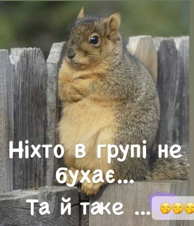 IMG-b644c90aa4ab24c4902e3ff6dd1ce7f4-V.jpg