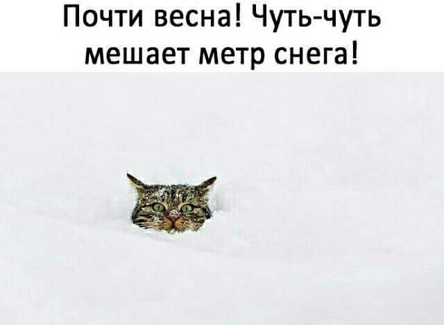 IMG-b6f92a5ad7c0b09761cf883a4cbd62b8-V.jpg