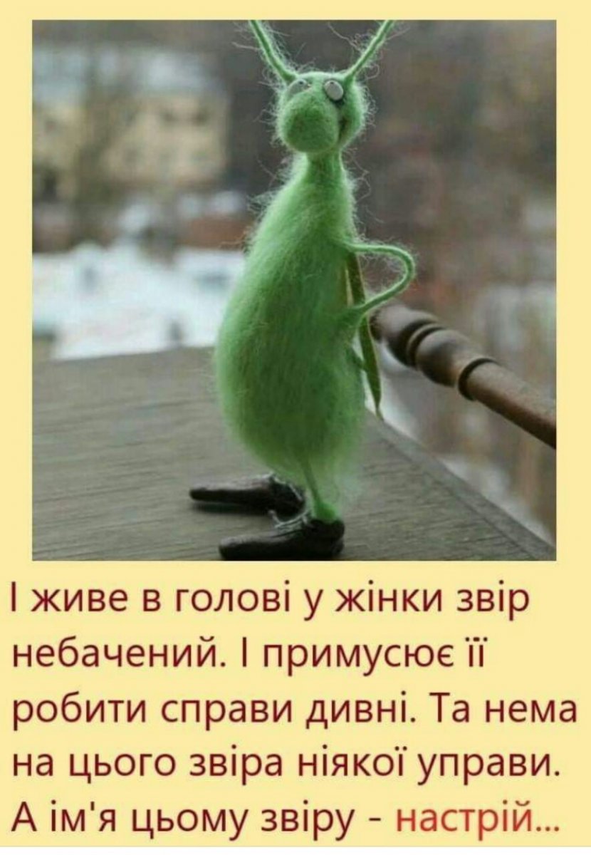 IMG-b6f99085c062633e2f1d0bf2264b055a-V.jpg