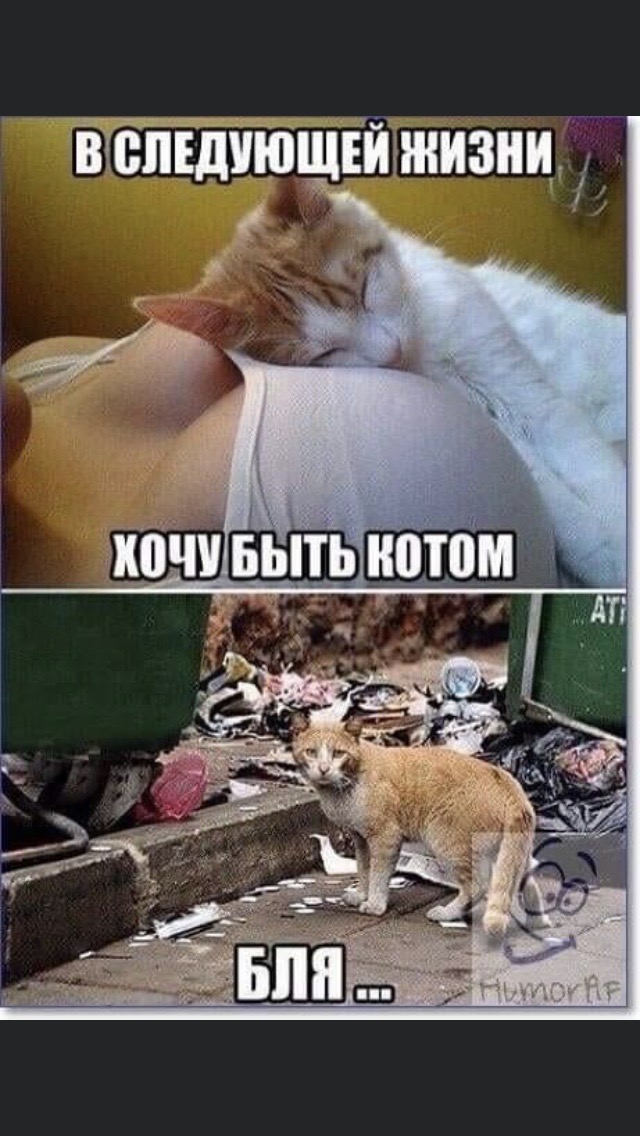 IMG-b9d05b37be8e3fbc957f2368a73e02ff-V.jpg