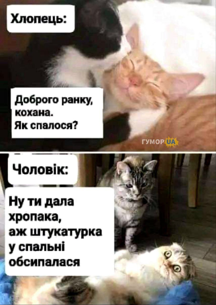 IMG-baf6971e8ffe86033ae07fe1b4f300cf-V.jpg