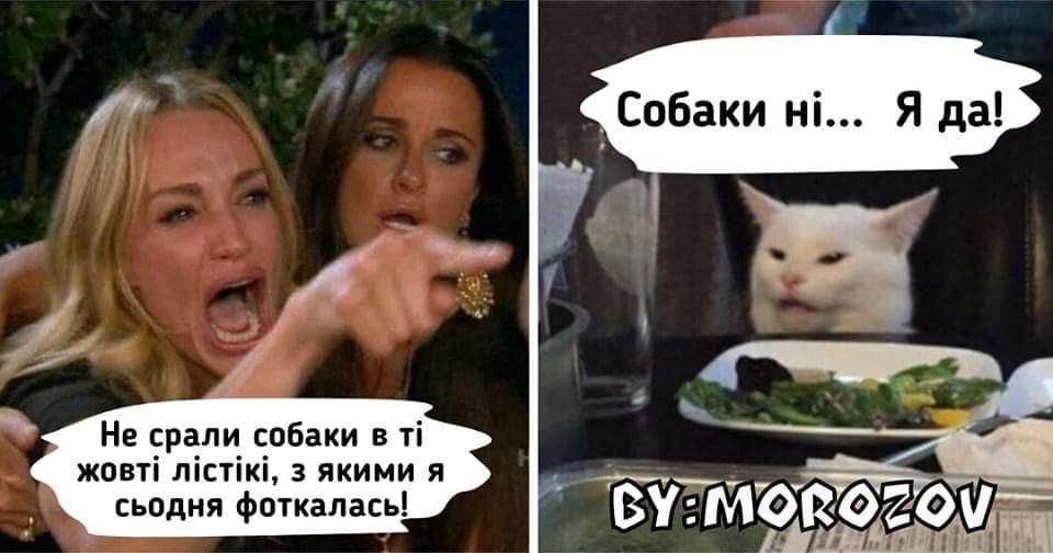 IMG-bb93f96902283b938c73eb5590def009-V.jpg